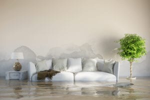 water damage cleanup port st lucie water damage port st lucie