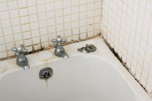 bathroom mold removal, bathroom mold cleanup