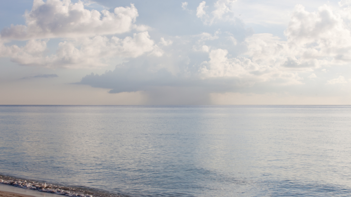 Single-Cell Thunderstorm